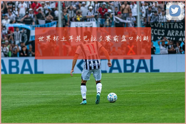 世界杯土耳其巴拉圭赛前盘口判断