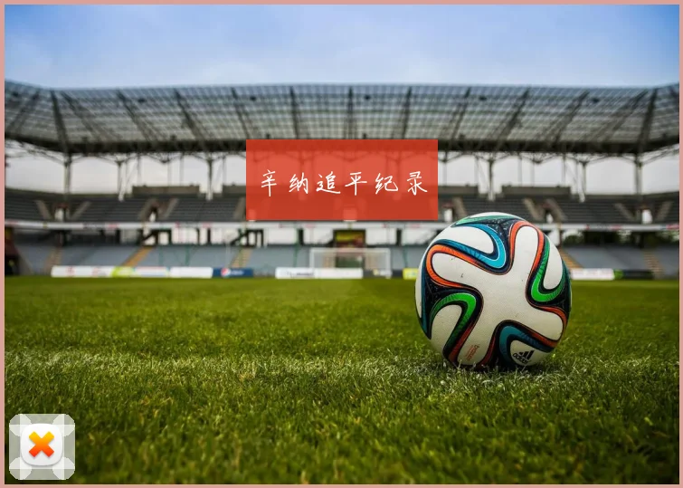 辛纳追平纪录