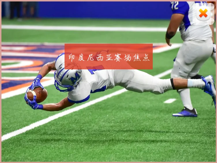 印度尼西亚赛场焦点