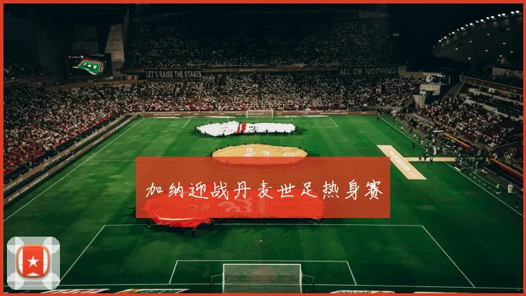 加纳迎战丹麦世足热身赛