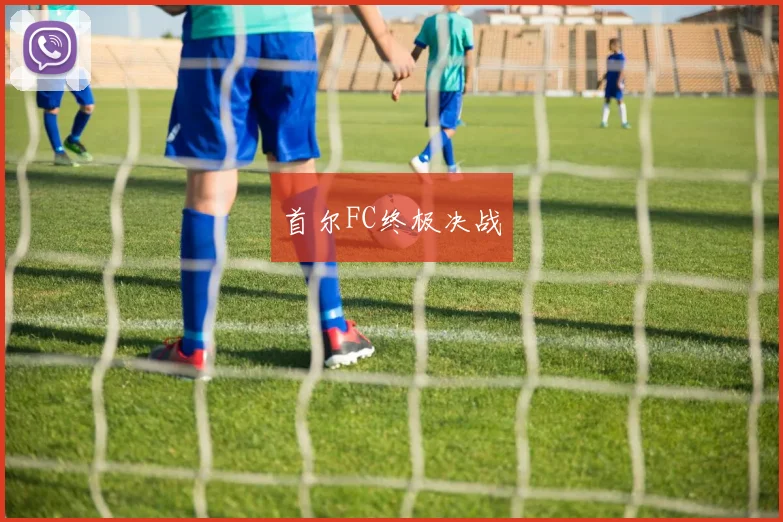 首尔FC终极决战