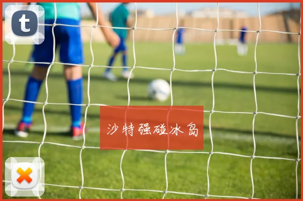 沙特强碰冰岛