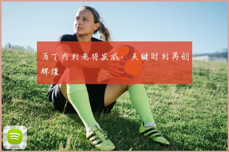 马丁内利老将发威，关键时刻再创辉煌