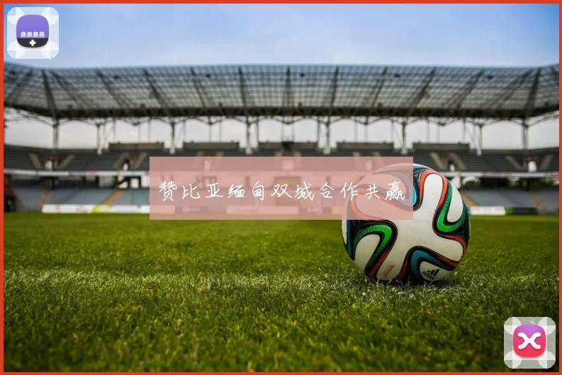赞比亚缅甸双城合作共赢