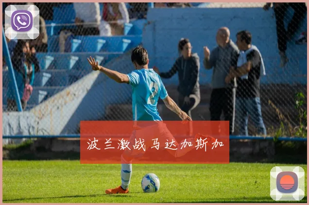 波兰激战马达加斯加
