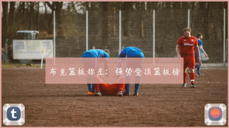 布克篮板称王：强势登顶篮板榜