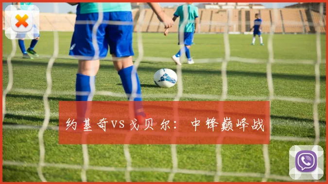 约基奇vs戈贝尔：中锋巅峰战