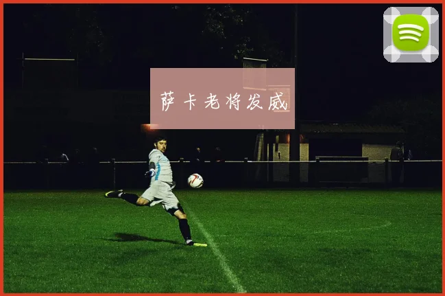 萨卡老将发威