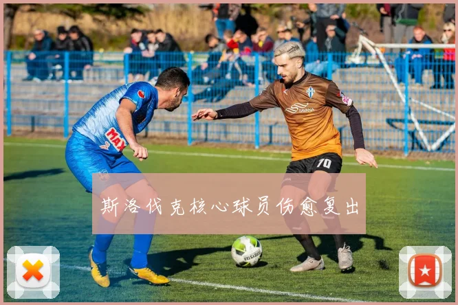 斯洛伐克核心球员伤愈复出