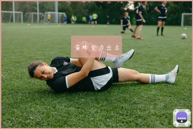 黄蜂全力出击