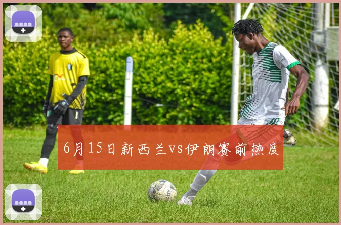 6月15日新西兰vs伊朗赛前热度