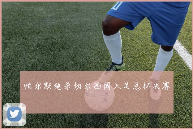 帕尔默绝杀切尔西闯入足总杯决赛