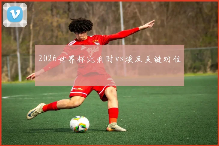 2026世界杯比利时vs埃及关键对位